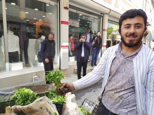 Silvan’da Sebze Fideleri Satışı Başladı