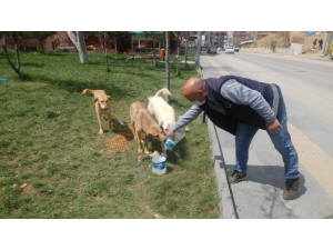 Dört Günlük Sokağa Çıkma Yasağında Mamak Mesaisi