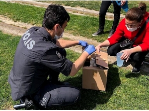 Polis Memuru, Aç Martının İmdadına Yetişti