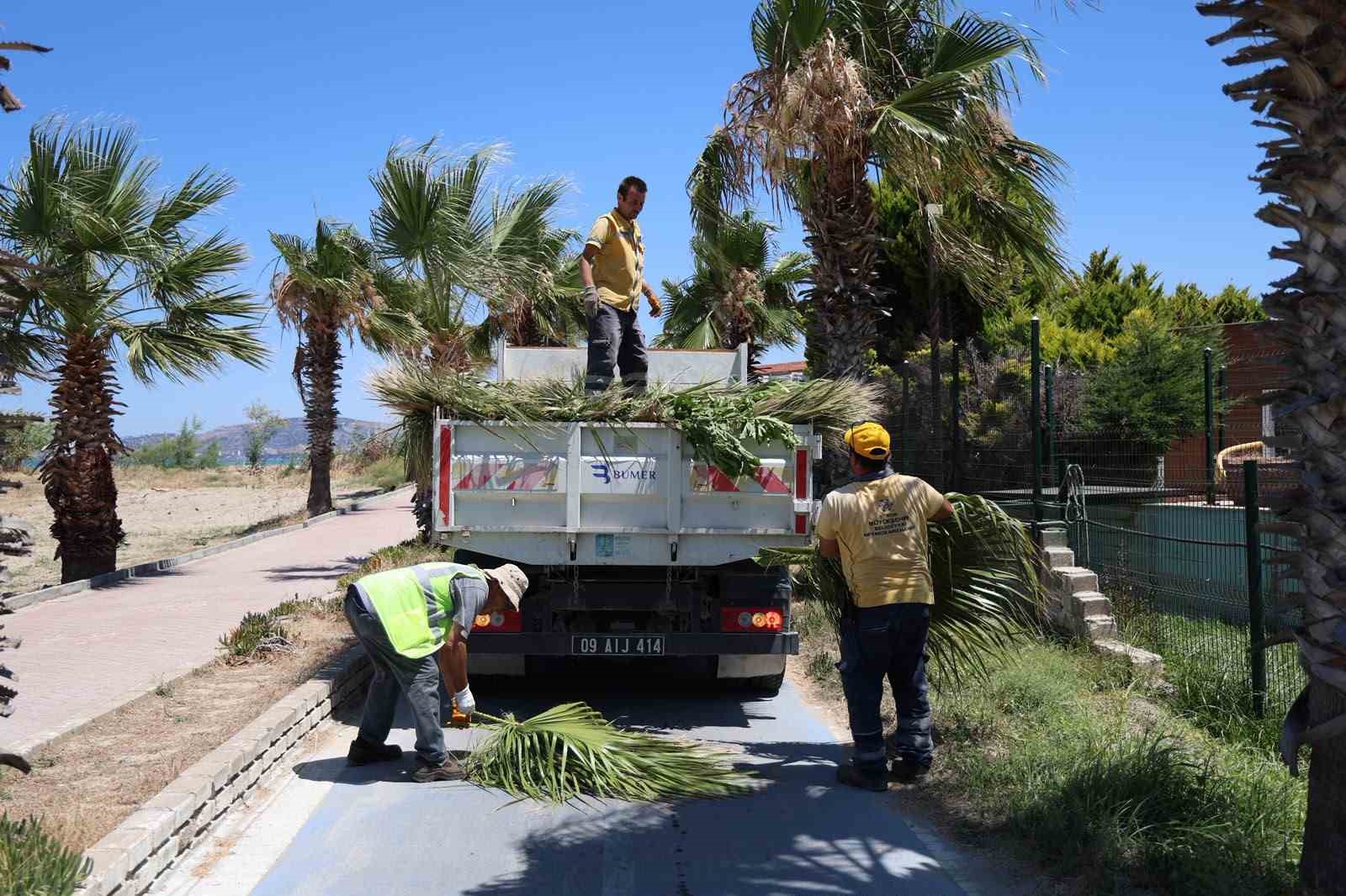 kusadasi-nda-yesil-alanlarda-kapsamli-bakim-ve-duzenleme-calismasi