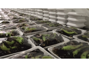 Urfa Kebabı Ve Lahmacun Yardıma Muhtaçların İftarı Oluyor