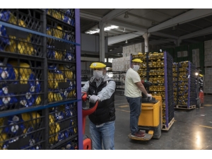 Ankara Büyükşehir Belediyesi De Mersin’den Limon Alacak