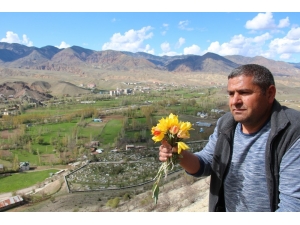 Oltu’da Laleler Açtı