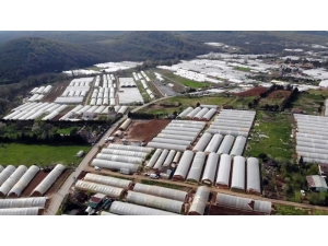 Korona Virüse Rağmen Üretimin Devam Ettiği Göçbeyli’deki Seralar Havadan Görüntülendi