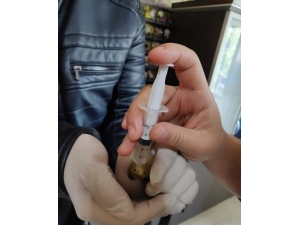 Yaralı Kuş Tedavi Altına Alındı