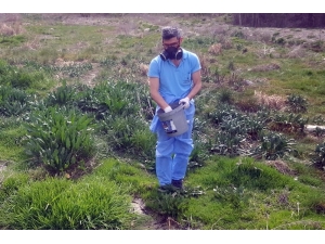 Çankaya’da Dezenfekte Çalışmaları Devam Ediyor