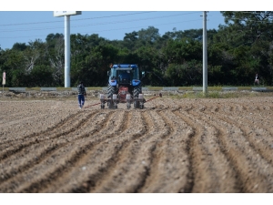 Muratpaşa’da Tohumlar Toprakla Buluştu