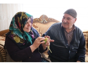 Stk’yı Telefonla Arayıp Muhabbet Kuşu İstediler