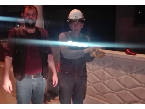 Yuvadan Düşen Yavru Kumru Sepetli Araç İle Yeniden Yuvaya Konuldu