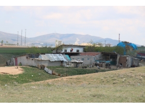 Kırşehir’de Çiftlik Evinde Köpek Saldırısına Uğrayan Çocuk Hayatını Kaybetti