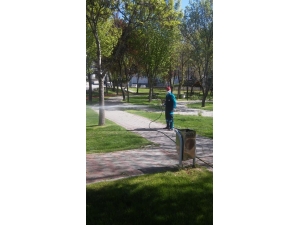 Sincan Haşerelere Ve Sineklere Karşı İlaçlanıyor