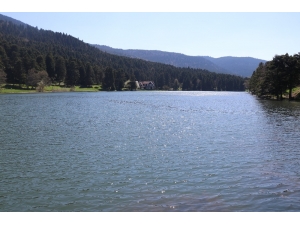 Gölcük Tabiat Parkı Sessizliğe Büründü