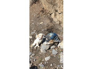 Hakkari’de Tnt Ve C4 İle Güçlendirilmiş El Yapımı Patlayıcı Ele Geçirildi