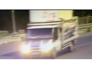 Çay Sattığı Konteyneri Kamyonetle Çaldılar