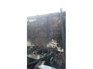 Vezirköprü’de 6 Yayla Evi Ve 1 Ahır Kül Oldu