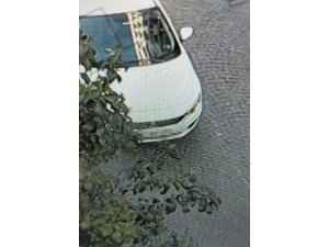 Vicdansız Sürücü Eminönü’nde Güvercinleri Ezdi