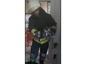 Havalandırma Borusuna Mahsur Kalan Yavru Kedi Duvar Kırılarak Kurtarıldı