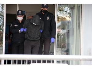 Eminönü’nde Kuşları Ezen Vicdansız Sürücü Adliyeye Sevk Edildi