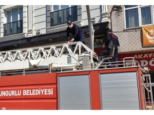 Pencere İle Korkuluk Camı Arasına Sıkışan Güvercin Kurtarıldı