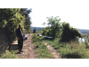 Arı Kovanı Hırsızı Yakalandı