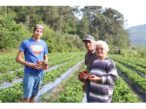 Öztürk Ailesi Huzur Ve Mutluluğu Toprakta Buldu