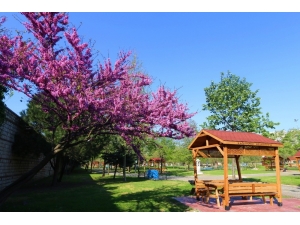 Kağıthane’de Baharın Renk Cümbüşü