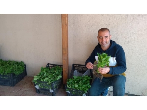 Kulp’ta Sebze Fideler Satışa Sunuldu