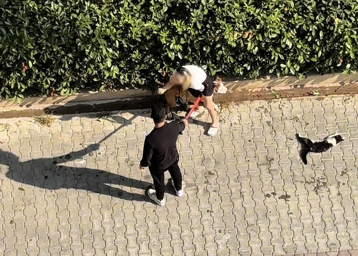 agizliksiz-gezdirilen-pitbull-kediyi-parcaladi-sahibi-polisi-aramayin-diye-yalvardi