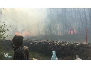 Tekirdağ’da Orman Yangını