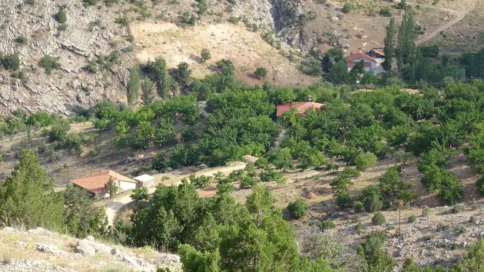 kayip-kadinin-cenazesi-icin-bin-600-rakimli-dagda-arama-suruyor