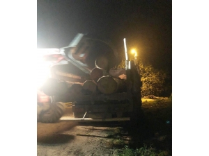 Kaçak Orman Kesimine 2 Gözlatı