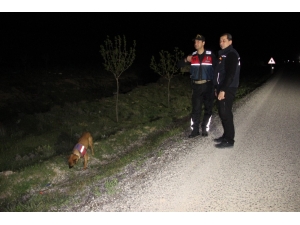 Kayıp Başvurusunda Bulundukları Kız Çocuğu Ağılın Avlusunda Uyurken Bulundu