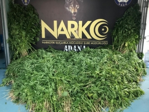 Adana’da Hint Keneviri Serasına Baskın