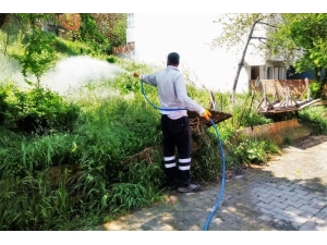 Süleymanpaşa’da Yaza Hazırlık