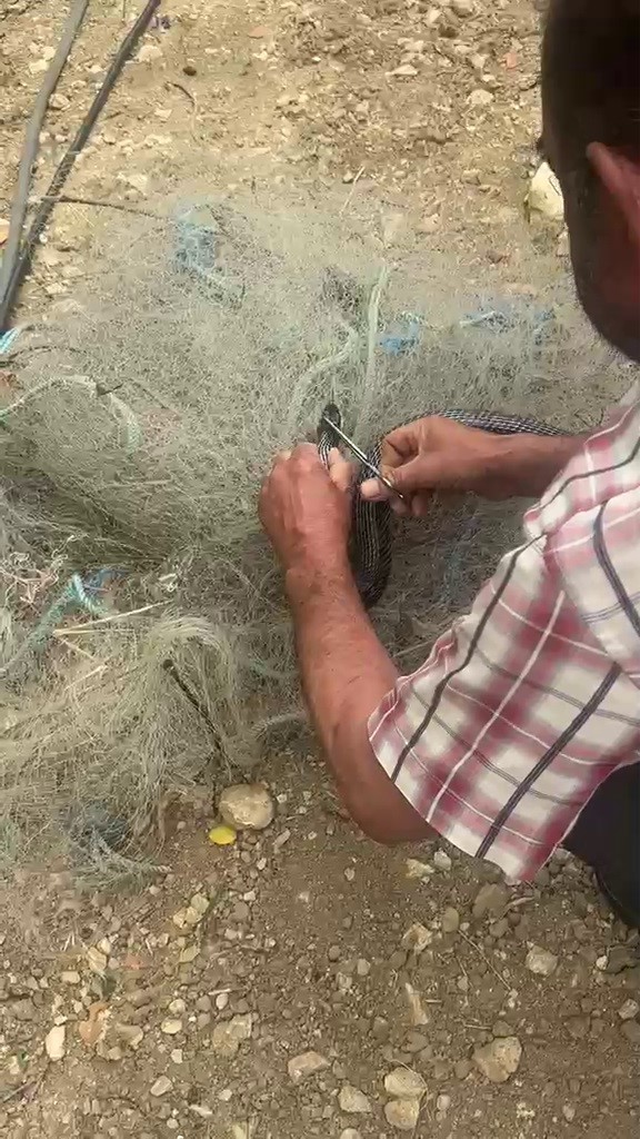balik-aginda-mahsur-kilan-yilani-elleriyle-kurtardi