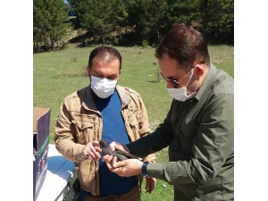 Tedavi Edilen Sutavuğu Kuşu Doğa Salındı