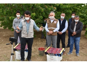 Bakan Pakdemirli Kiraz Üreticileri İle Telekonferansta Görüştü