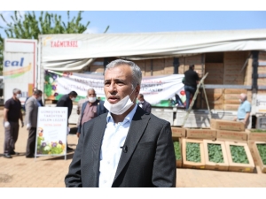 Büyükşehir 5 Milyon Fide Dağıtımını Tamamladı