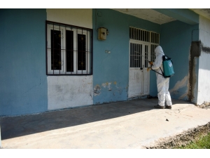 Ceylanpınar’da Karantinaya Alınan Mahalle İlaçlandı