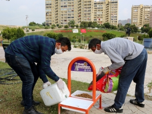 Toroslar Belediyesi, Her Gün Sokak Hayvanları İçin Beslenme Odaklarına Mama Bırakıyor