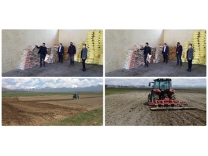 Van’da Çiftçilere Yonca Tohumu Dağıtıldı