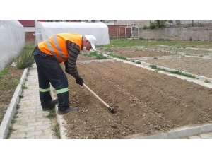 Safranbolu Belediyesi Tarımsal Çalışmaları Sürdürüyor