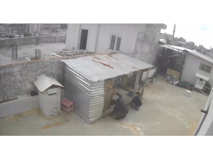 Güvercin Hırsızları Kameraya Yakalandı