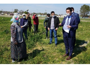 Belediye Başkanı Sarıkurt Çalışmaları İnceledi