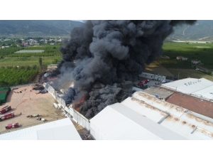 Bursa’da Soğuk Hava Deposundaki Yangın Kontrol Altına Alındı