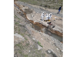 Erzincan’da Erkek Cesedi Bulundu