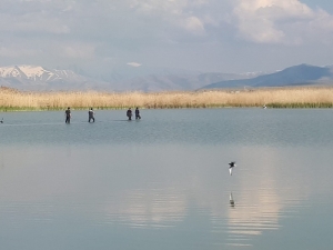 İnci Kefali Balığı İçin Çalışan Tarım Ekiplerinin Zor Anları