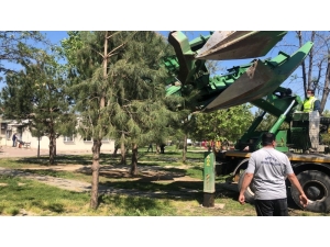 Işık: "Bizi Kucaklayan Doğanın Kıymetini Biliyoruz"