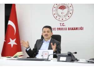 Bakan Pakdemirli, Video Konferans Aracılığıyla Tzob Danışma Kurulu Toplantısına Katıldı