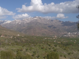 Sason’da Bir Bina Korona Virüs Nedeniyle Karantinaya Alındı